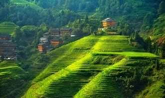 chinese hill village