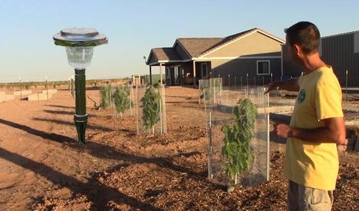 water from the atmosphere for desert cropping